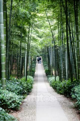 【曉荷·遇見】愛情是個鬼，聽說沒見過（小說）