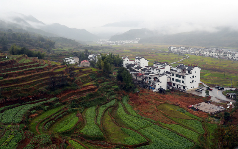 【流年·人間值得】你家我家，何處是家（征文·散文）