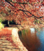 【浪花·感動】芳華易逝，道聲珍惜（散文）