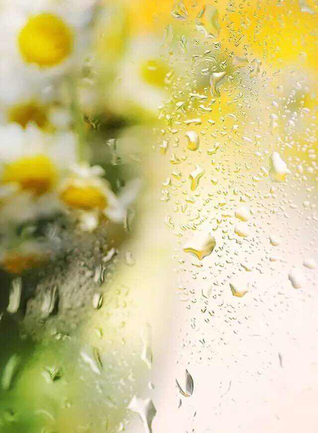 【江南】煙花三月，花落知多少（散文）