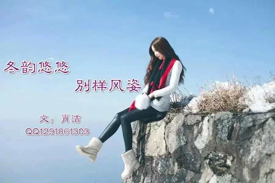 【曉荷】冬韻悠悠，別樣風姿（散文）
