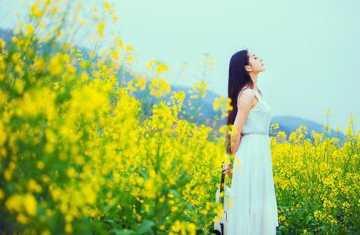 【桃源】時光作葉，夢想成花（散文）
