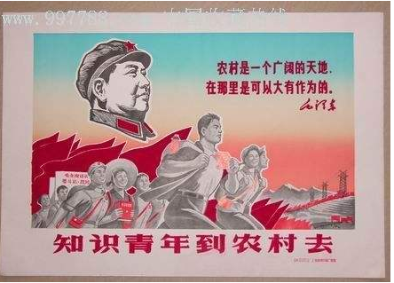 【丁香杯】知青家庭，觀后感（影評(píng)）
