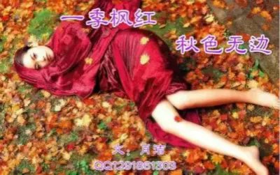 【心靈】一季楓紅，秋色無邊（外一篇）（散文）
