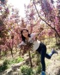 【專欄】等到春風(fēng)吹起，我在花下等你（詩(shī)組）