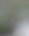 【實(shí)力寫手選拔】別了，我的火車頭?。ㄉ⑽模? class=