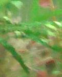【看點(diǎn)·春韻】見鬼了（小說(shuō)）