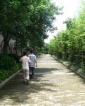 【江南】最美的風景（散文）