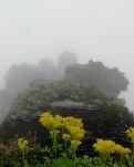 【看點】星星還在，只此一眼便重回江湖(散文）