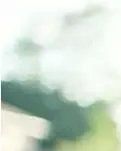 【輕舞】一場花事，美到深處不自知(詩歌)