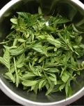 【萌芽】家鄉(xiāng)的野菜（記敘文）