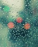 【柳岸 ?戀】雨季不再來（散文）