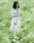 【柳岸】 初夏，和這些花兒在一起（詩歌）