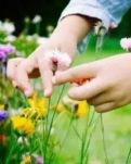 【柳岸】2019，身邊有快樂陪伴（散文）