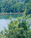 【八一】牟城風(fēng)景線（散文）