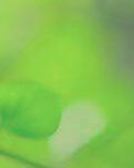 【雅香】我 的 妹 妹（散文）