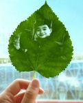 【江山·耕耘】【神舟】文學(xué)，她人生中的催化劑（散文）