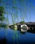 【萌芽】夢(mèng)在心中，路在腳下（記敘文）