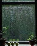 【寧靜·韻】雨，一場接一場（散文）