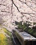 【風(fēng)戀】迷案，仙女之吻（小說）
