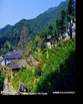 【風(fēng)戀】大山，鐘聲與爐火交響曲（散文）
