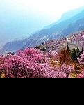 【風(fēng)戀】愛(ài)，等你  （散文）