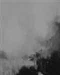 【江山·根與魂】【柳岸】丹江鋤奸（劇本.豫?。? class=