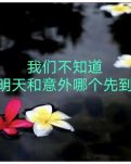 【柳岸·星】雙親不在了（詩(shī)歌/外二首）