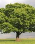 【萌芽】煙臺的秋，我的夢與遠方（散文）