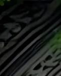 【綠野·春】孤影都是熬燈藏星下（詩(shī)歌）