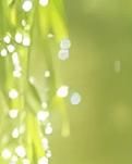 【綠野·春】我們都是這個(gè)春天的神話（詩(shī)歌）