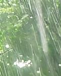 【綠野·夏】我們是被有風的詩和會雨的遠方一起期待（詩歌）