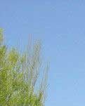 【江山.見(jiàn)證】【曉荷】懷念香姑寺（散文）
