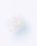 【綠野·夏】我都是送出祝福禪定（詩歌）