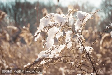 【丹楓】太陽(yáng)里的雪（詩(shī)組）