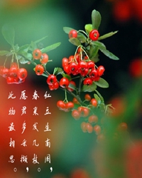 兩地相思，紅豆紅（外二章）