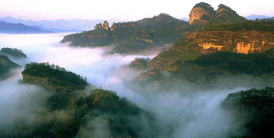 【鳳凰?舞】武夷山之旅——叩問山水，茶中情（散文）