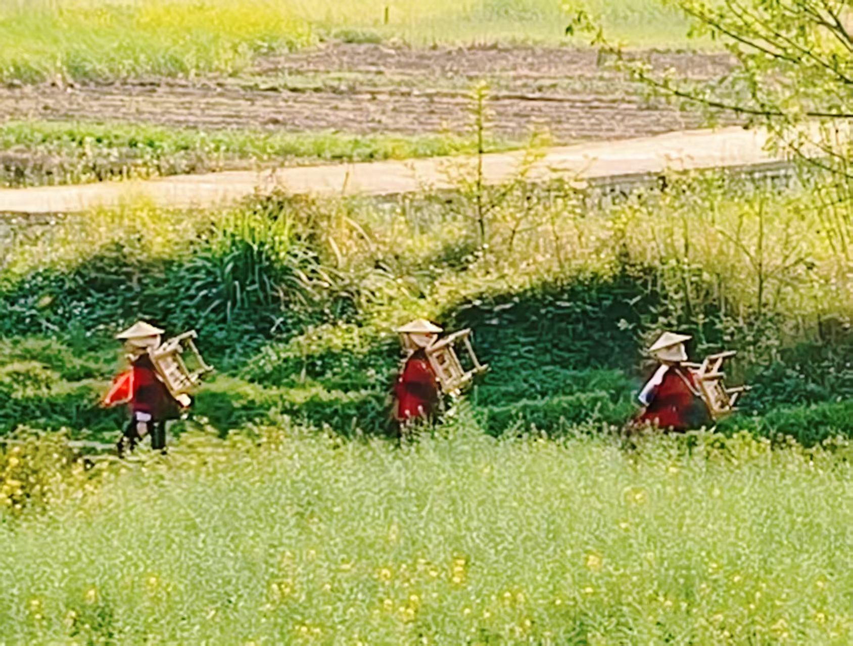 【江山·見證】【寧靜】尋夢壩美（散文）