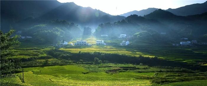【曉荷】刈草清馥動鄉(xiāng)愁（散文）