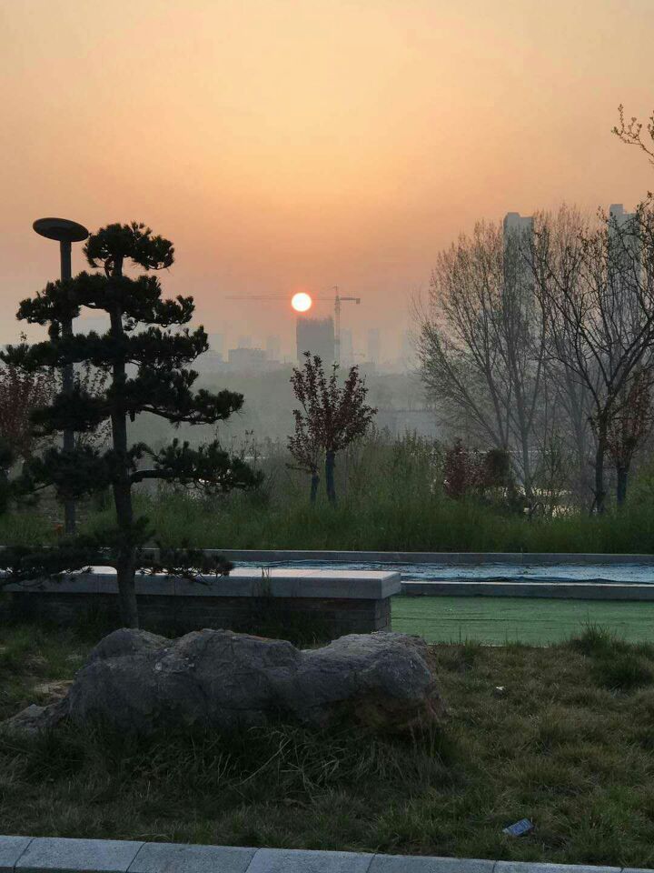 【丁香】揚(yáng)起自信的風(fēng)帆，驅(qū)散心頭的陰霾（隨筆）