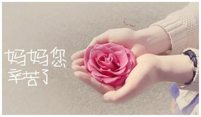 【八一】醒著，等您入夢(mèng)（散文）