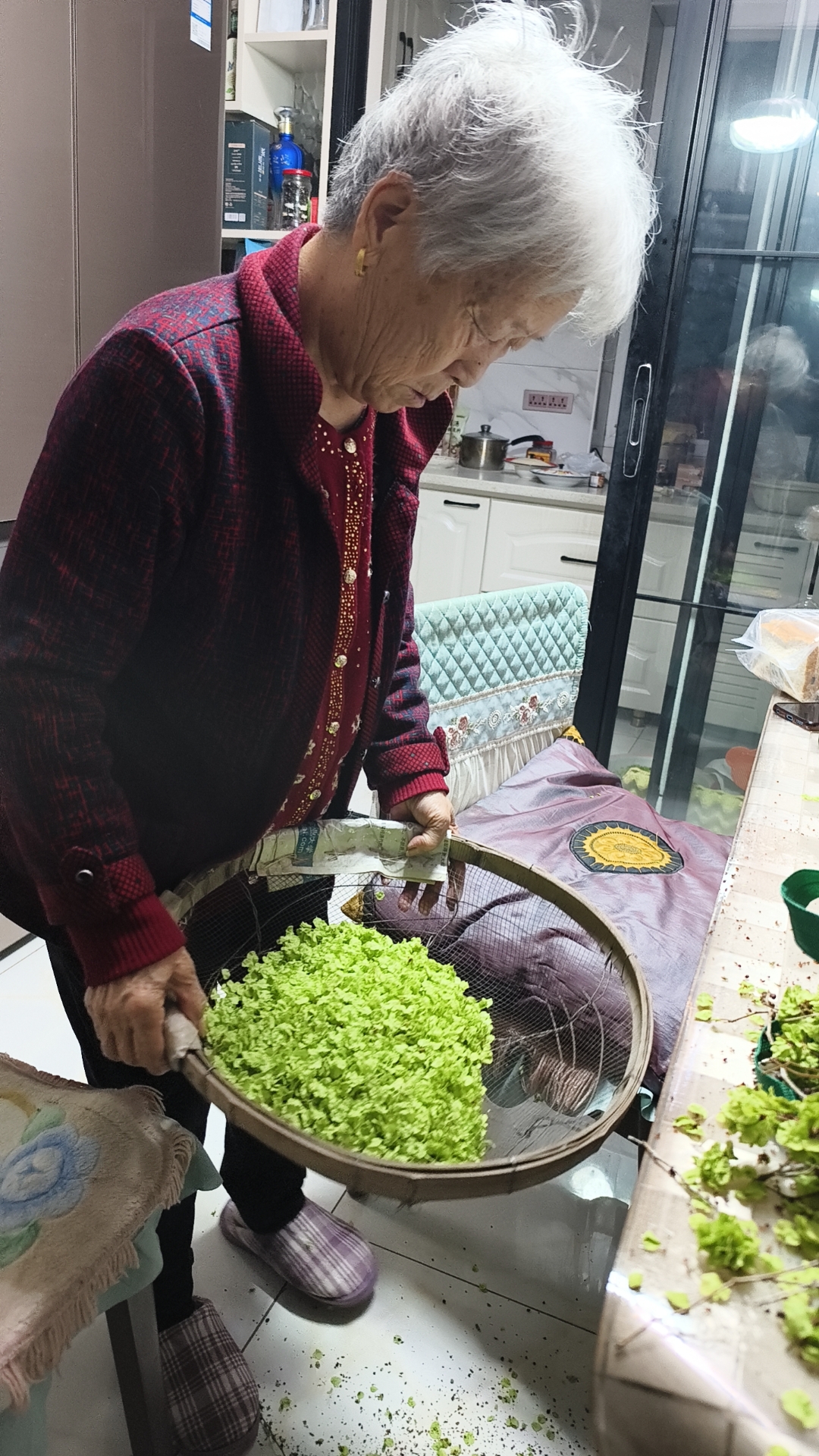【柳岸】又是一年榆錢飄香季（散文）