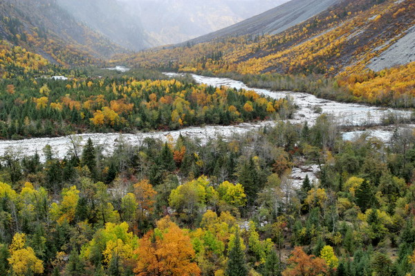 【星月行走】秋聲里，陽(yáng)光掠過(guò)陣地（組詩(shī)）