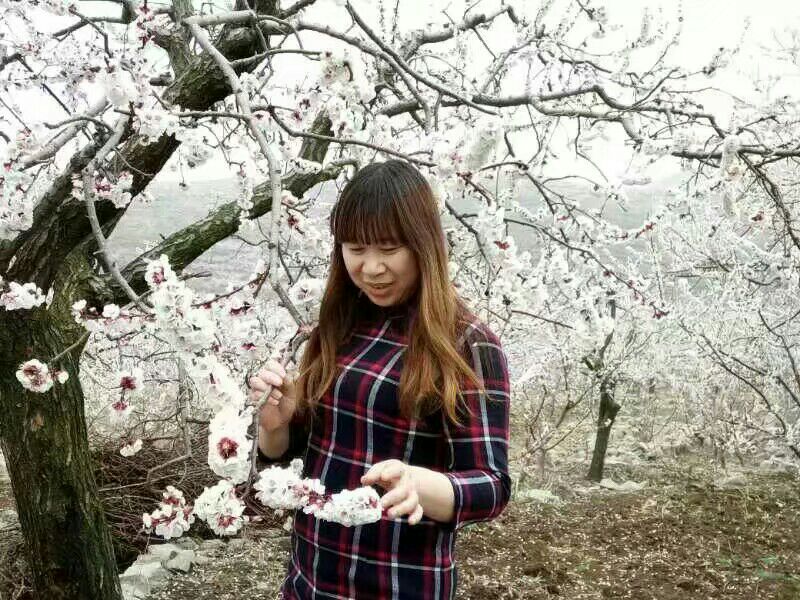 【天涯】杏開荼蘼，活色生香第一流（散文）