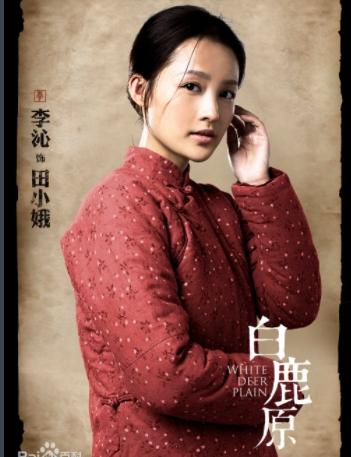 【書香·初見】田小娥， 一只奮不顧身的飛蛾（隨筆）