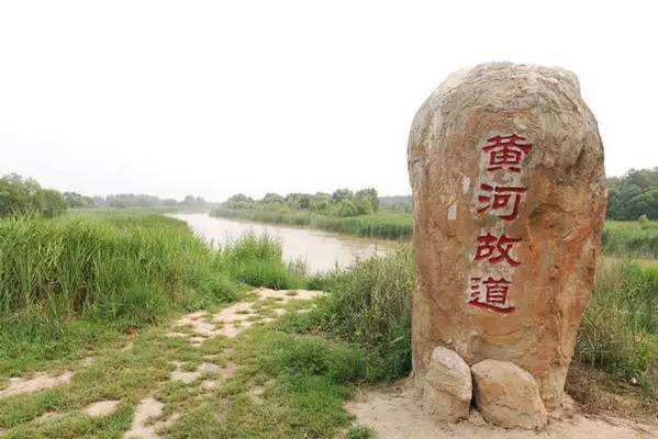 【菊韻】夏津黃河故道探幽境（散文）