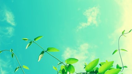 【江山宸光】若不曾經(jīng)歷，又怎會懂得(中學(xué)組散文)