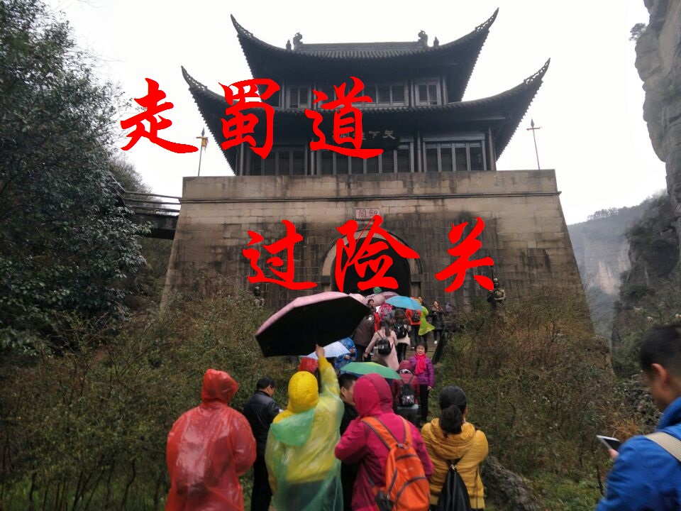【丁香花語】走蜀道過險關（散文）