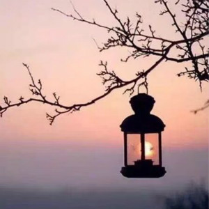 【如云】在路上，為自己點(diǎn)燈取暖（組詩(shī)）