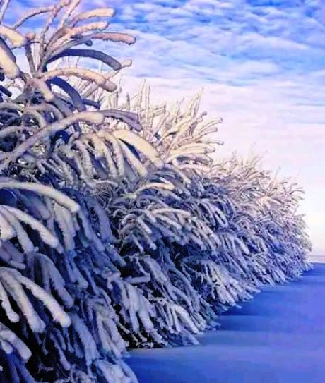 【天涯】今夜有雪，請多保重（詩歌）